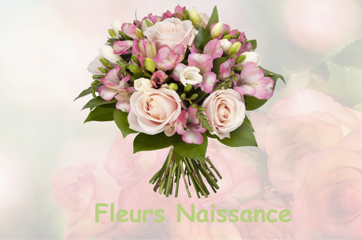 fleurs naissance PINSOT